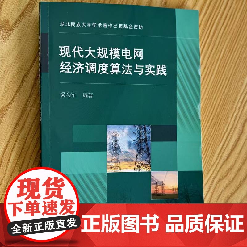 正版 现代大规模电网经济调度算法与实践 梁会军 电力系统 经济调度 数据驱动 单目标 复杂系统 决策 建模 电动汽车高清大图