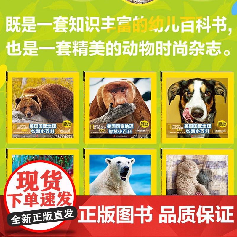 美国国家地理智慧小百科全套6册双语版3-6岁儿童科学漫画书籍小学生版一二年级课外书读天气雨林动物科普百科全书儿童6-12高清大图