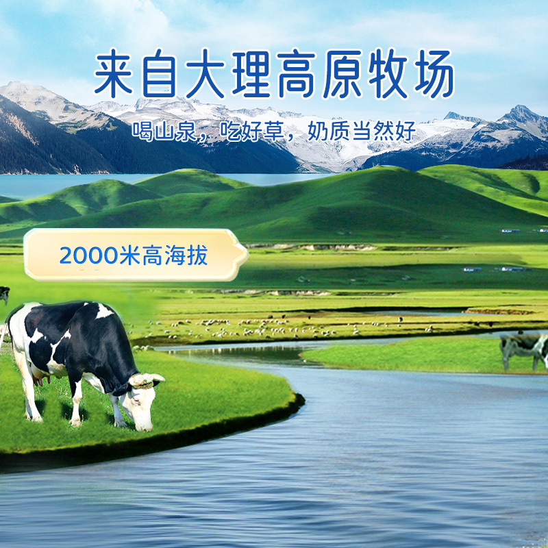 来思尔我的果园白桃燕麦酸奶150g*12杯 高原牧场大理风味酸牛奶 冷链运输新鲜到家