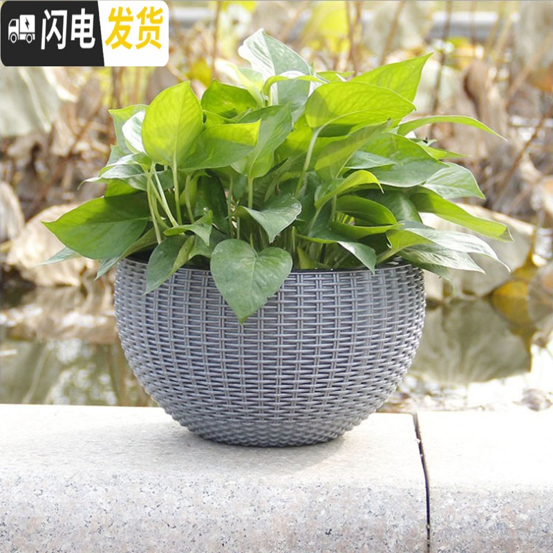 三维工匠吊兰绿萝花盆花盆悬挂盆室内垂吊垂挂吊盆式吊着的塑料吊篮花盆 银灰色[送链子+定植篮] 小号(直径16.5花盆容器