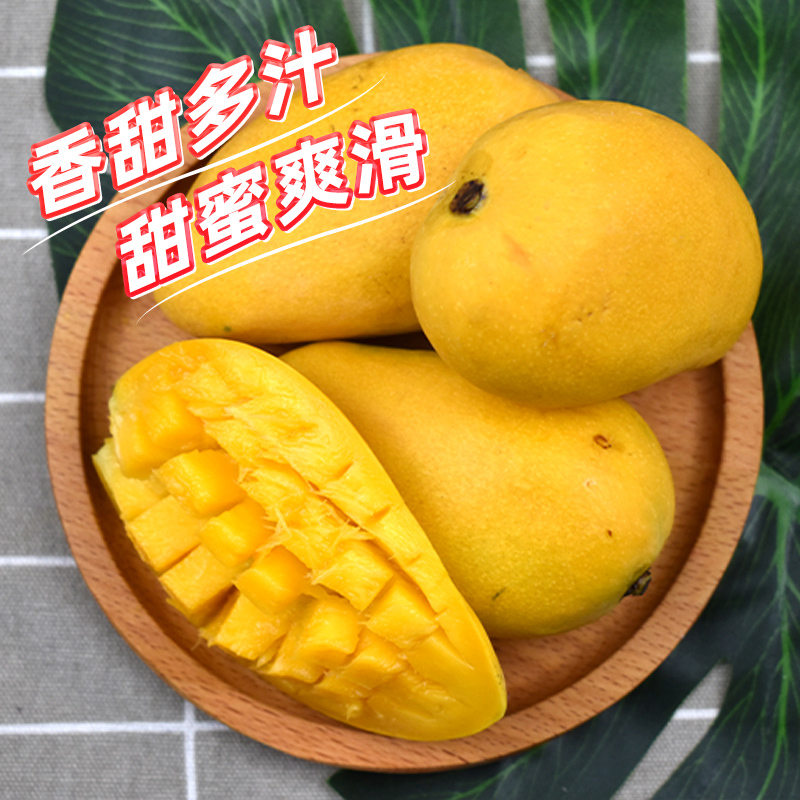 五个农民广西百色小台农芒果5斤中果新鲜小台芒现摘自营生鲜当季水果热带芒果5斤整箱