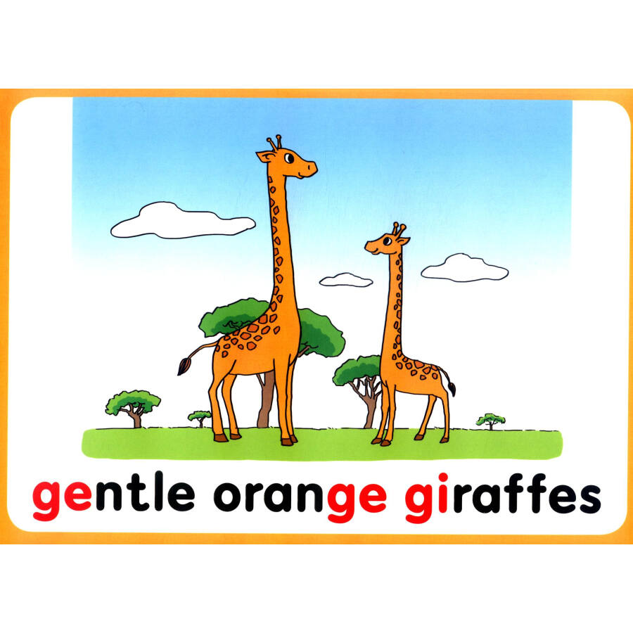 [正版]外研社丽声瑞格叔叔自然拼读法 拼读卡4高清大图