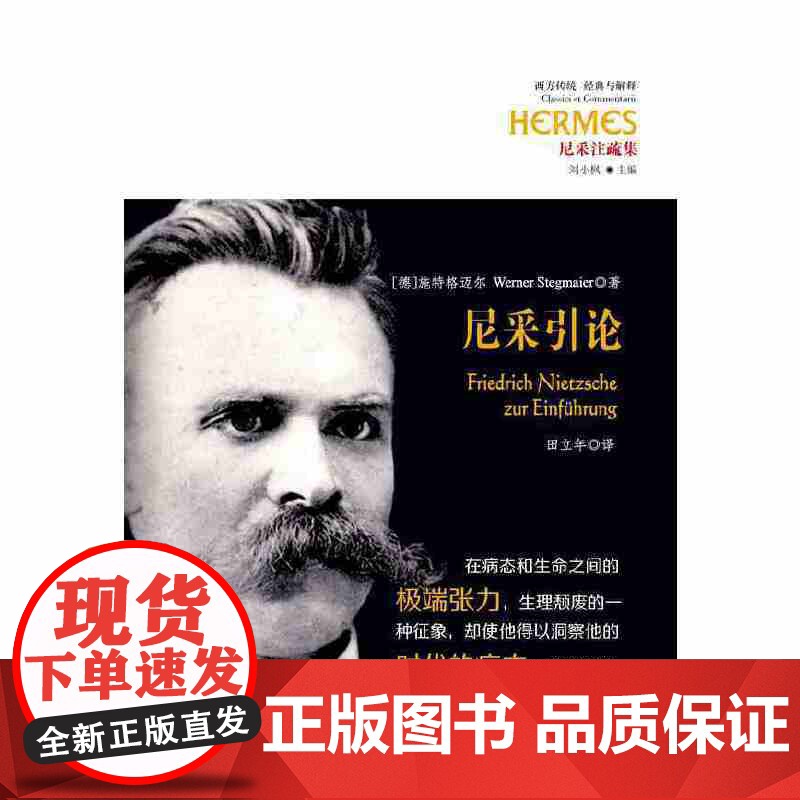 尼采引论 施特格迈尔 华夏出版社 正版书籍高清大图