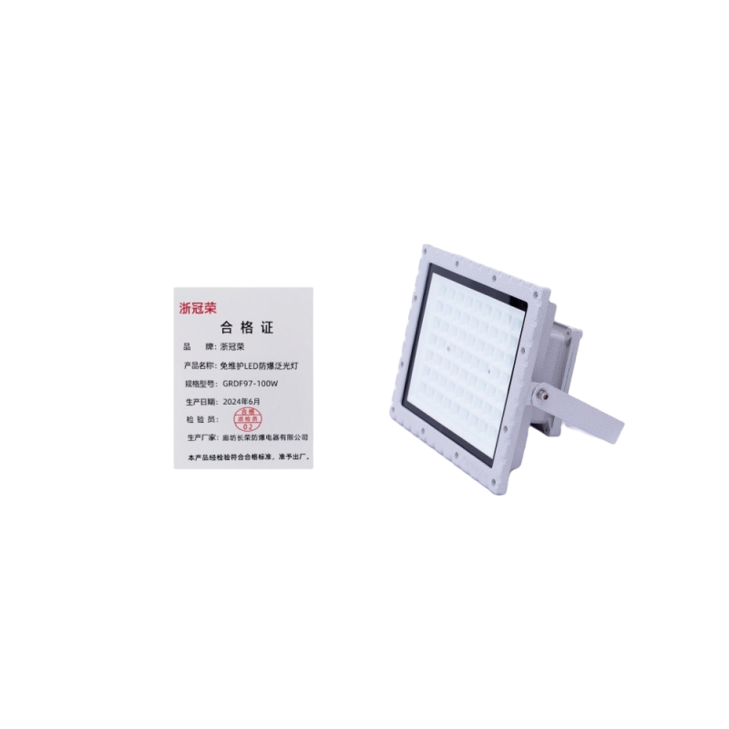 浙冠荣 GRDF97-100W 免维护LED防爆泛光灯高清大图