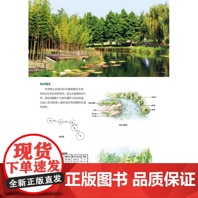 图解景观设计:100个经典植物配置 植物配置方案全解附手绘原图平立面图+株距图配置方案与数据实操深度解读方案高清大图
