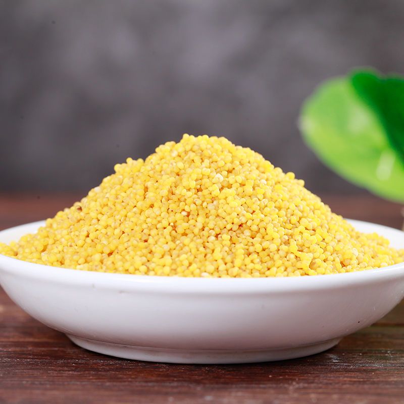 新米陕北油小米新食用小米月子米五谷杂粮农家精选油小米2斤