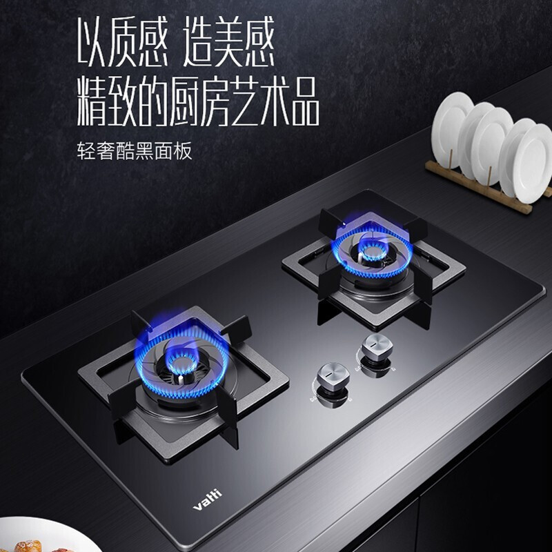 华帝(vatti)4.3KW大火力 天然气燃气灶i10055B(液化气联系客服) 一级能效钢化玻璃双眼灶 台嵌两用灶具