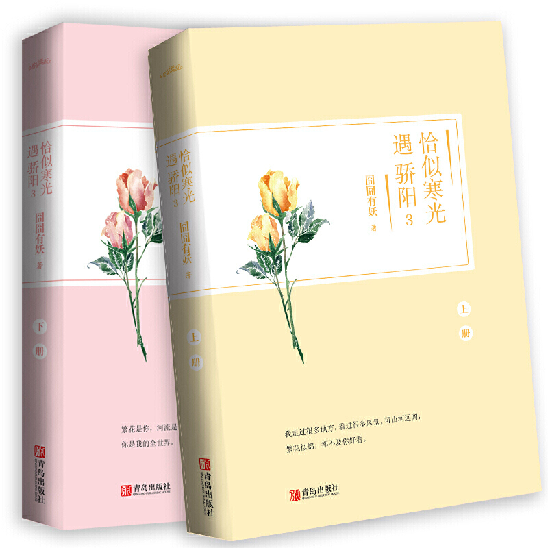 [正版]赠明信片+书签]恰似寒光遇骄阳3完结大结局上下2册 囧囧有妖小说青春文学言情女性家有萌妻 总有一天你会喜欢我 君