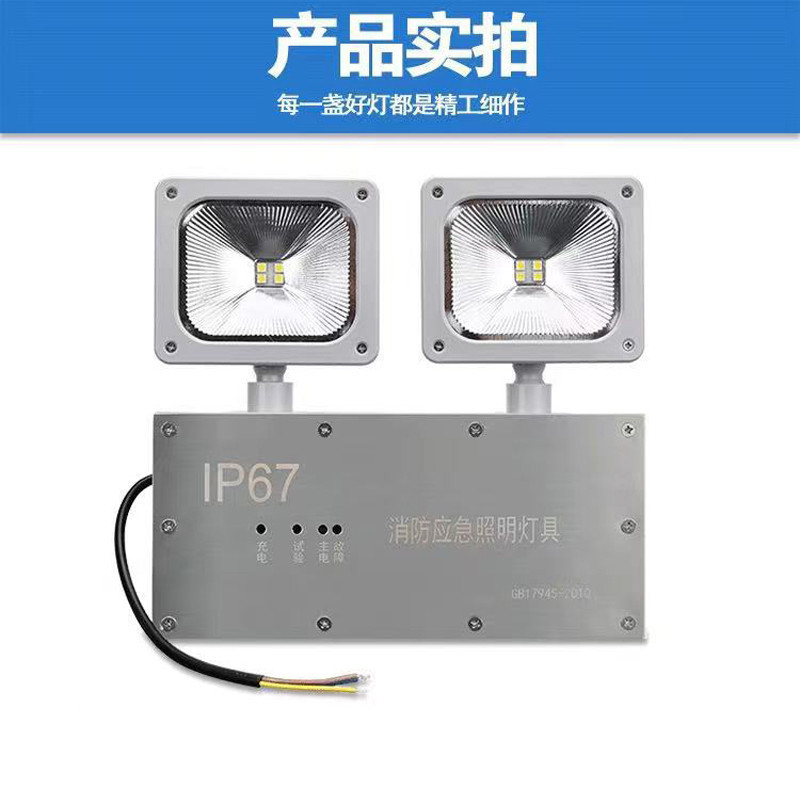 锐峰灯饰 消防灯 RF-ZFZD-E8W-QVZD IP67 8W 220V 壁挂式(只)