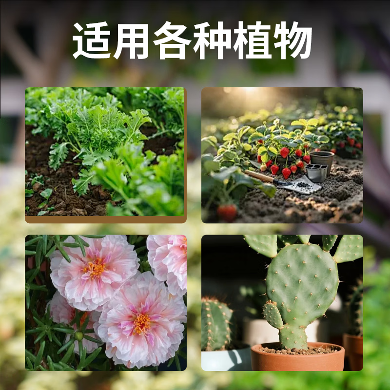 3M发酵稻壳土20L高清大图