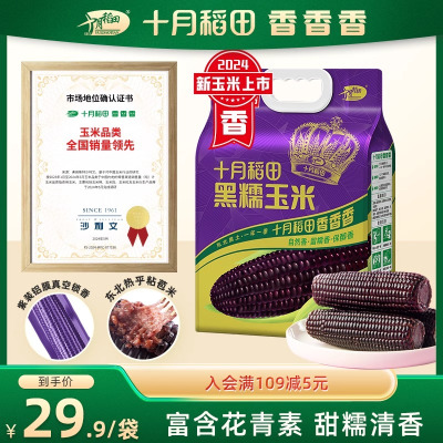 十月稻田 黑糯玉米1.76kg（220g*8）