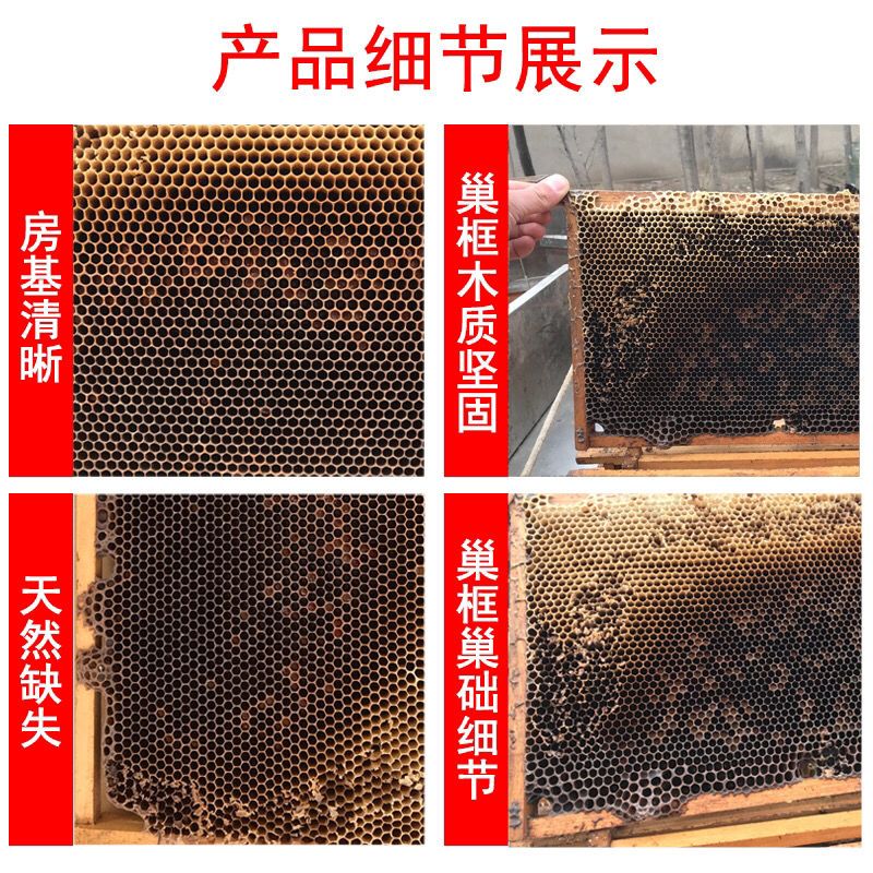 诱蜂老巢脾 带框老巢脾天然老蜂巢招蜂诱蜂蜡专用巢脾蜜蜂窝野蜂蜂蜡熬蜂巢素