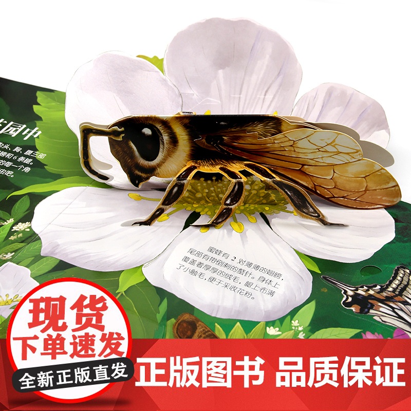 昆虫立体书揭秘系列儿童3d翻翻书绘本故事书3-6-8岁以上科普百科全书情景体验认知宝宝读物小学生一二年级上册昆虫记高清大图