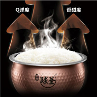 苏泊尔SUPOR CFXB40PHC2-130压力球釜IH电磁加热4L/升电饭煲 陶晶内胆 预约功能 智能语音控制电饭锅