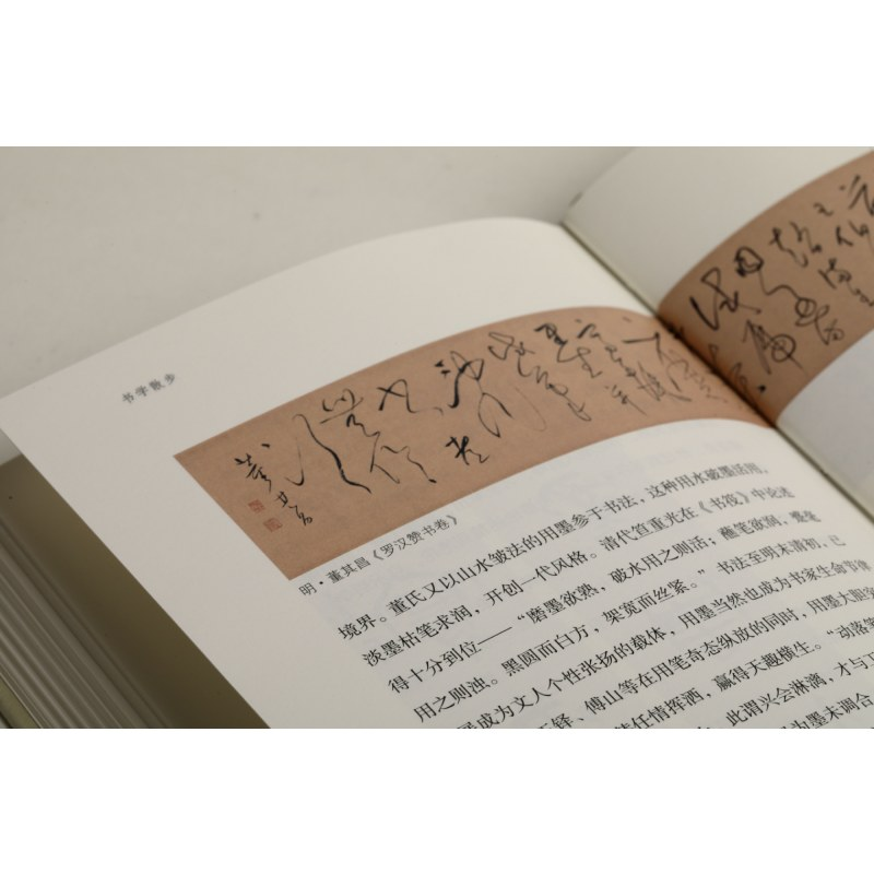 醉染图书书学散步9787547926383高清大图