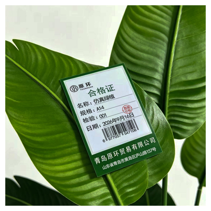 原环 仿真绿植 个 A14