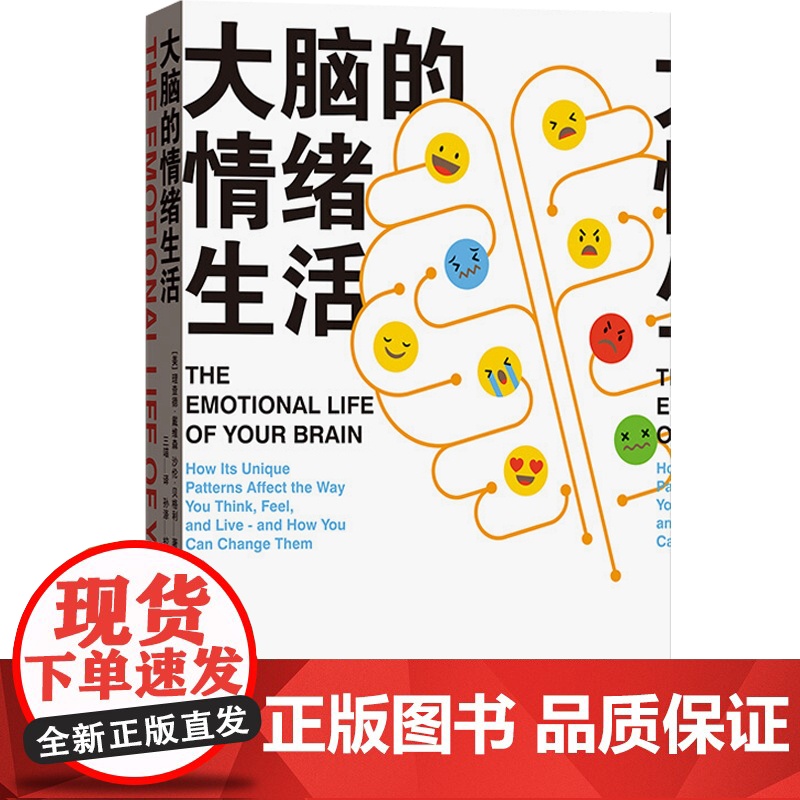 大脑的情绪生活 理查德戴维森 个人情绪自助书 情绪管理 大众阅读心理学 神经科学病理学学者学术研究实用实例分析书籍 格致高清大图