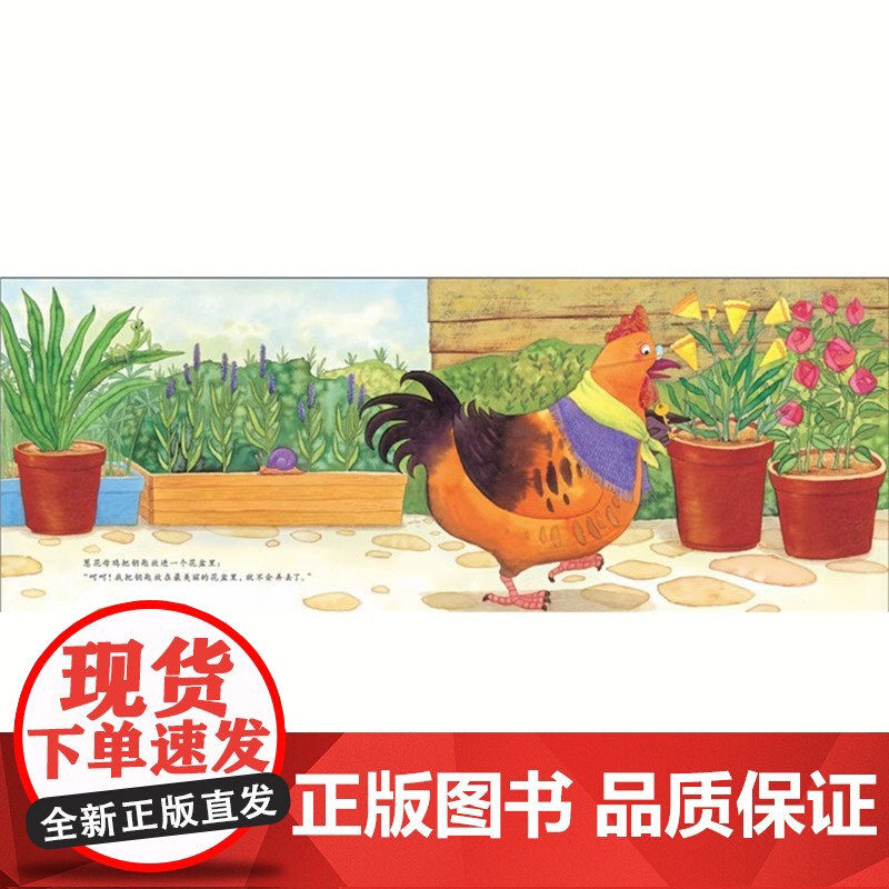 一只母鸡叫葱花精装硬壳方素珍正版3-6岁幼儿童故事儿童绘本幼儿园书籍宝宝绘本故事亲子读物手绘本启蒙幼儿早教书启蒙认知故事高清大图