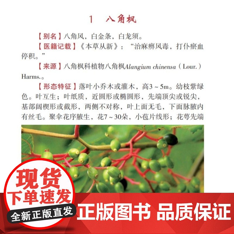 奇异中草药单方验方 中草药图谱大全 形态特征/化学成分/现代研究 附3-5首实用配方 鉴别级实拍彩图 中医药材鉴定与临床高清大图
