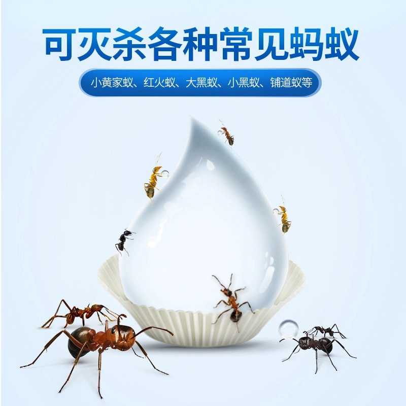 拜耳拜灭易蚂蚁药家用无毒全窝端12g*1支(法国进口药 一窝端 除灭杀黑红小黄蚂蚁 室内室内 厨房通用神器)高清大图