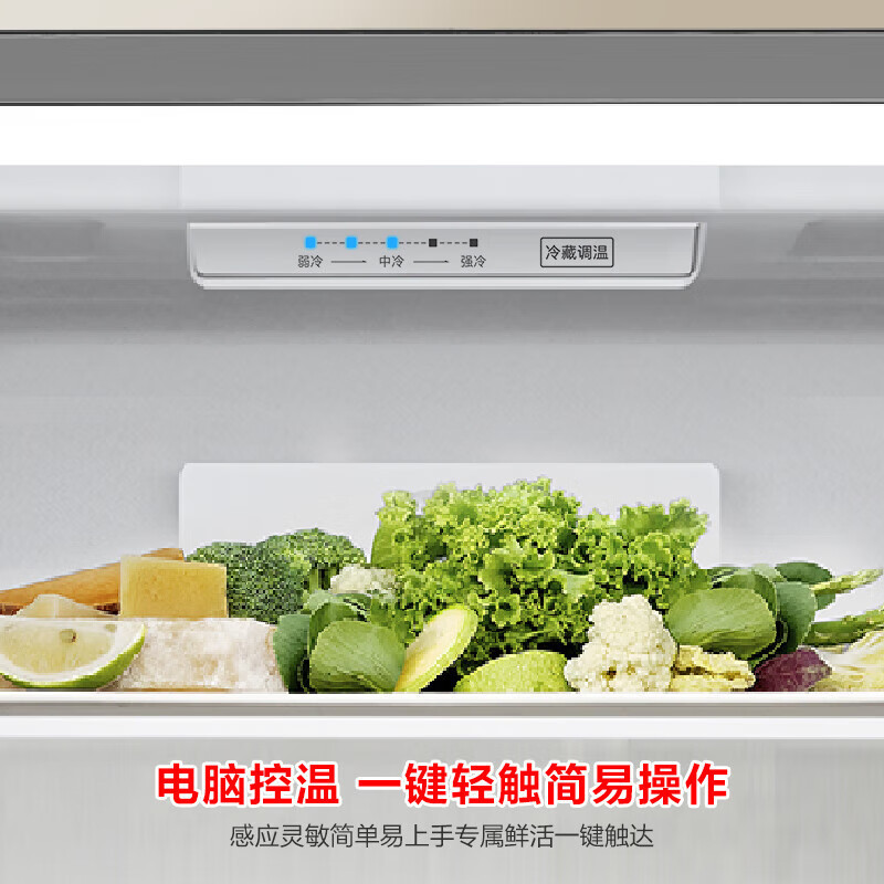 容声 BCD-220E20RNLAD 220升三开门小电冰箱家用小型风冷无霜节能低噪出租房宿舍小户型高清大图