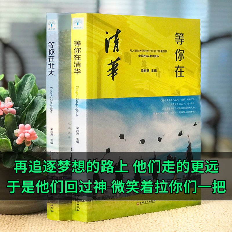 [正版]等你在清华北大2册 高中考生备考分析提分的学习方法和考试技巧家长阅读的心理指南书我在清华北大等你不是梦高考蝶变高清大图