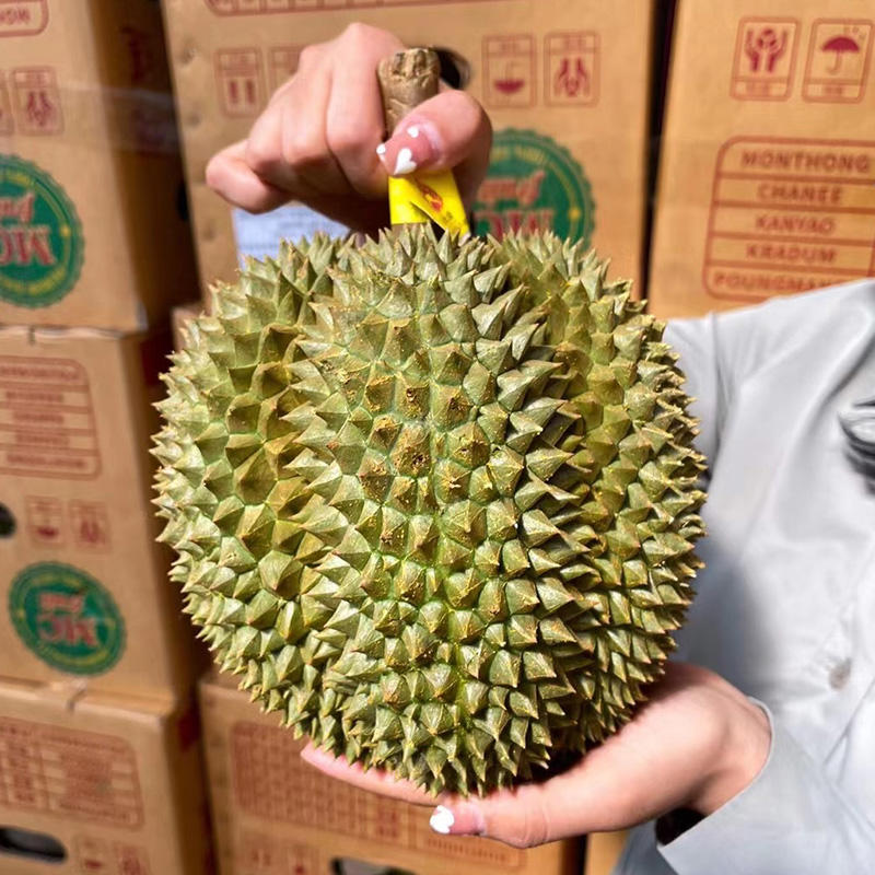 [西沛生鲜]泰国甲仑榴莲 进口榴莲 1-2个装 6-7斤高清大图