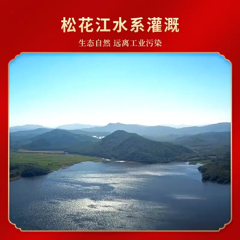 三人行 富硒稻香米东北大米 500g高清大图