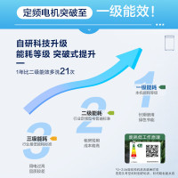 海尔(Haier)10公斤 全自动 波轮洗衣机 1级能效 自编程 纳米微泡净 除螨洗 消费补贴 XQB100-Z10B0