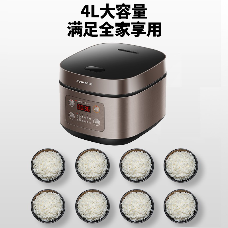 九阳(Joyoung) 土灶电饭煲F40FY-F311