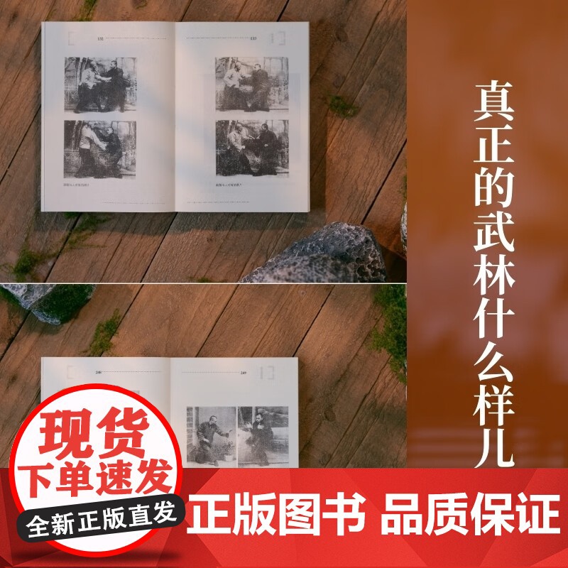 逝去的武林 徐皓峰 著 纪实文学高清大图
