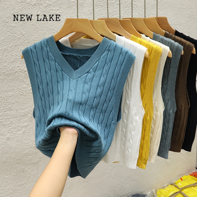 new lake针织马甲女春v领无袖背心叠穿麻花马夹百搭坎肩外穿短款上衣