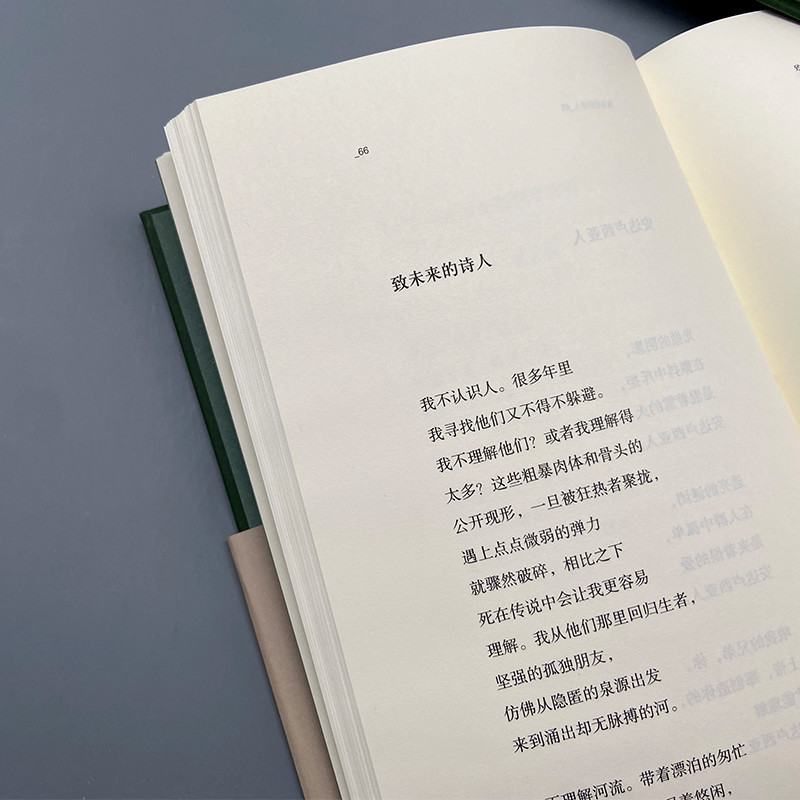 [正版] 致未来的诗人 西班牙诗人路易斯塞尔努达诗集 范晔编选翻译 巴别塔诗典系列精装本人民文学出版社 经典诗歌高清大图