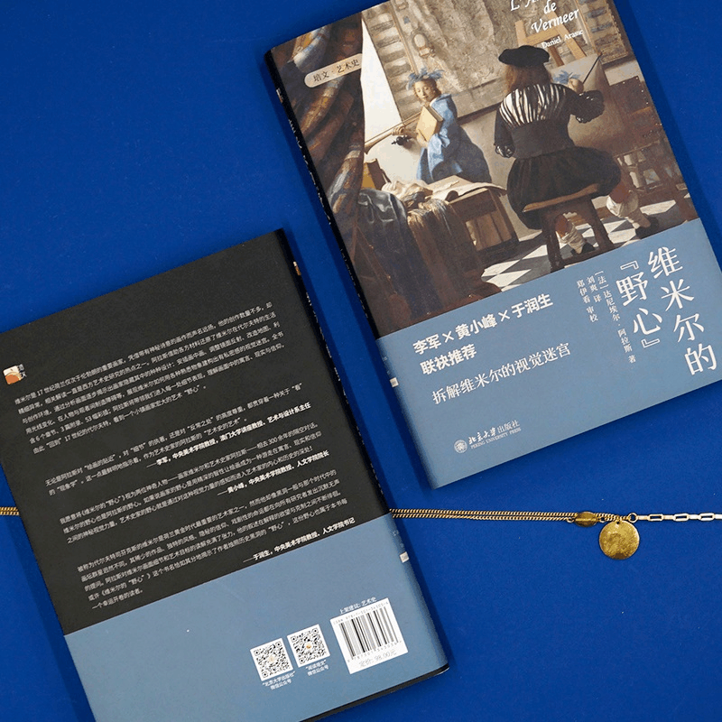 醉染图书维米尔的“野心”9787301343036图片
