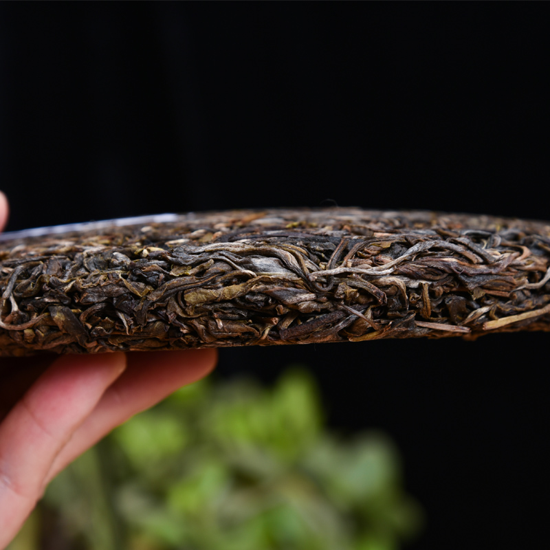 滇梵(DIANFAN) 滇梵 茶叶 茶礼 布朗老树357克生茶饼云南大叶种乔木高清大图