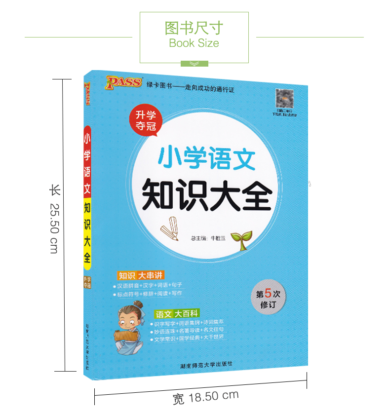 [正版]pass绿卡图书小学语文知识大全 知识大串讲 小学生升学复习资料辅导书 小学语文学习工具书高清大图