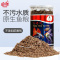 中华国叉尾泰国斗鱼专用饲料增色六角龙鱼红虫干鱼食孔雀鱼高蛋白