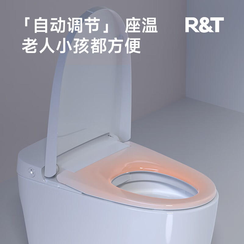 瑞尔特(R&T)智能马桶一体机家用带水箱脚感冲水座温调节无水压轻智能坐便器 S1C