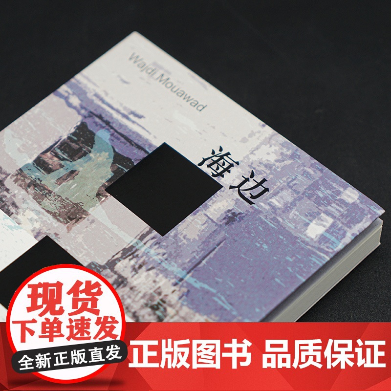 海边 瓦日迪·穆瓦德剧作集 南京大学出版社 (加)瓦日迪·穆瓦德 著 王婧 译 戏剧、舞蹈 舞蹈(新)高清大图