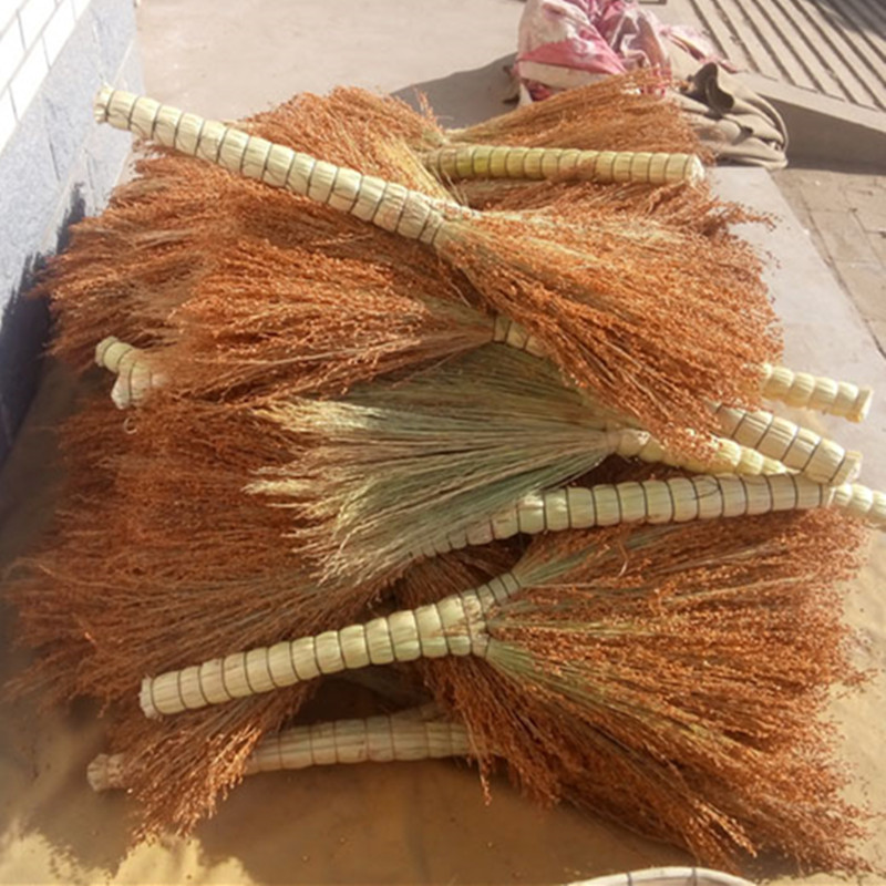 宝家洁高50*宽30清洁植物扫把 手工扫帚