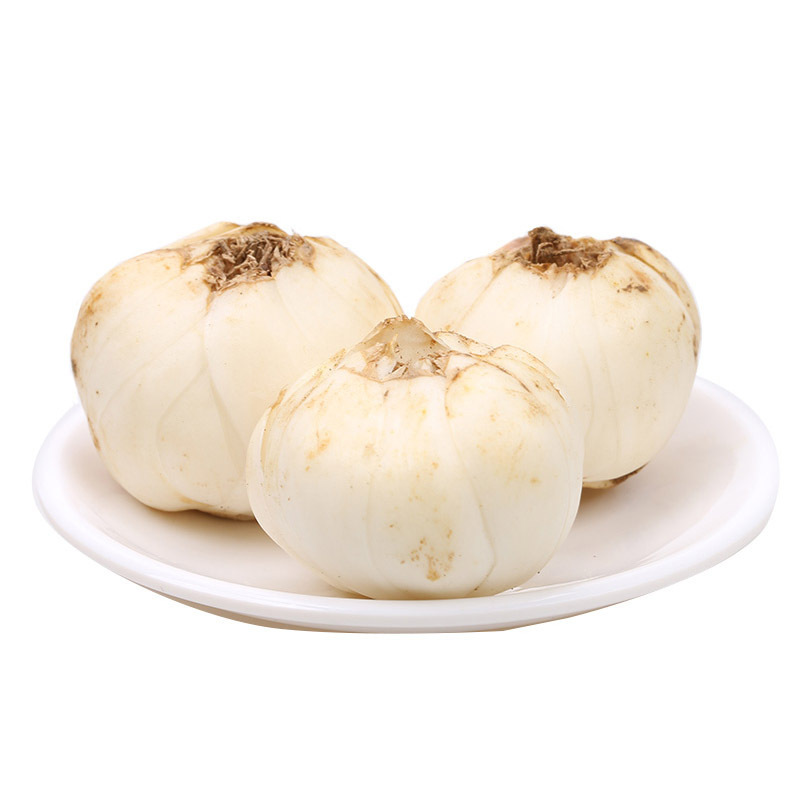 兰州新鲜百合250g四头皇兰州鲜百合甜糯现挖鲜百合航空非百合干甜百合