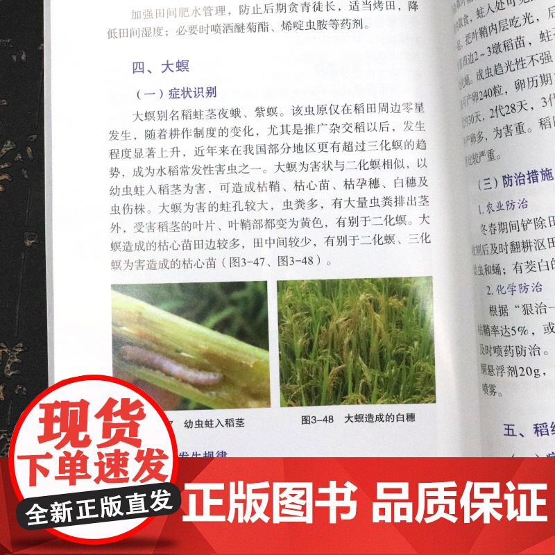常见农作物病虫害诊断与防治彩色图鉴 农作物病虫害识别速查手册 麦稻玉米高粱谷大豆花生油菜烟草病虫害防治技术大全书高清大图