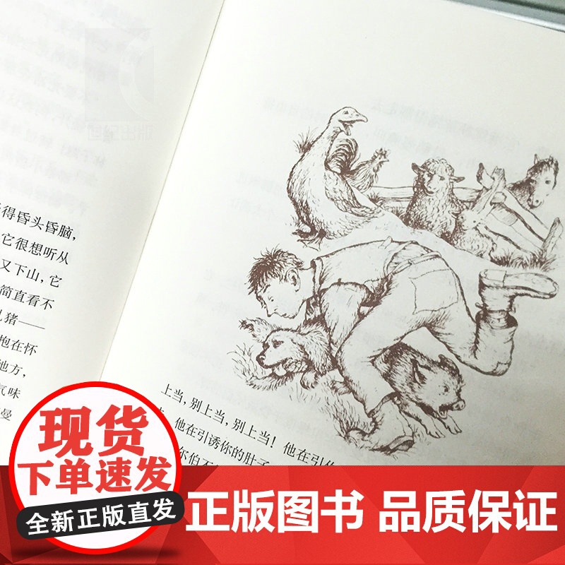 夏洛的网精装版 全球行销千万册美国伟大的十部儿童文学名著一本读到流泪的书儿童国际大奖原版小说外国儿童文学上海译文高清大图