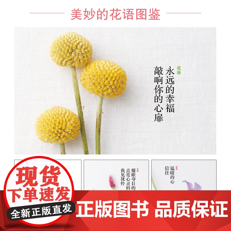 花颜花语 197种实用的四季花卉手册和花语图鉴 花艺书籍诞生花星座守护花花图鉴花店花养花花语植物图鉴大全书明信片宇田川佳高清大图