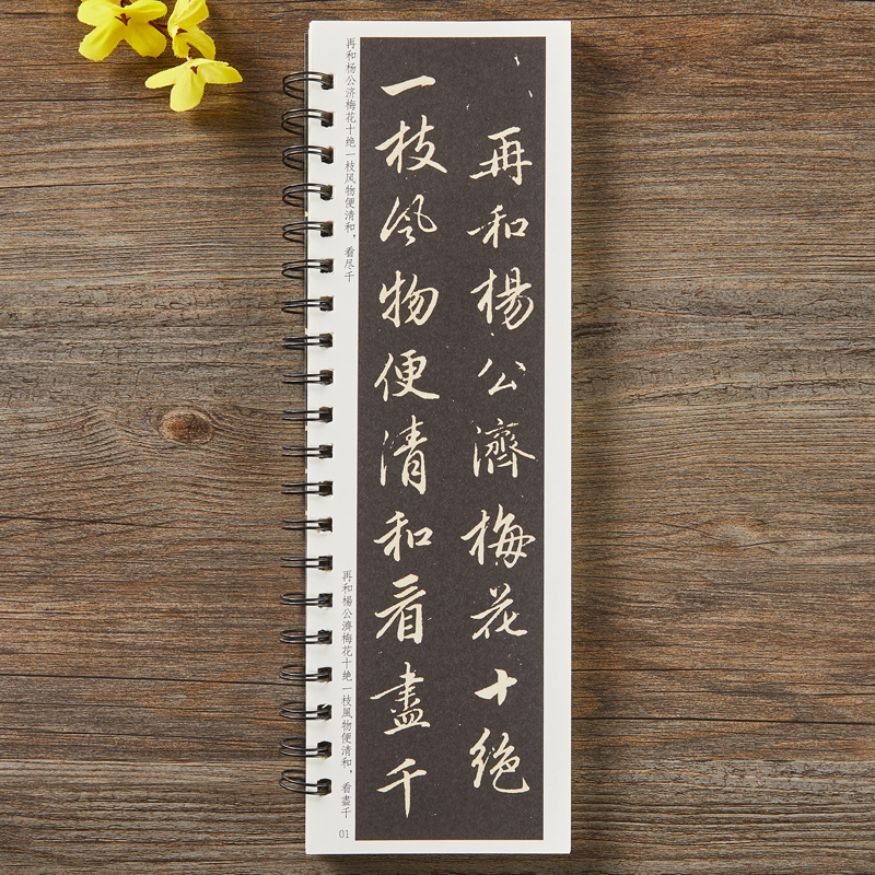 赵孟頫梅花诗字卡 [正版]元赵孟頫梅花诗行书毛笔书法字帖原大加放大赵孟俯经典碑帖临摹字卡全文初学者成人入门练习近距离临帖高清大图