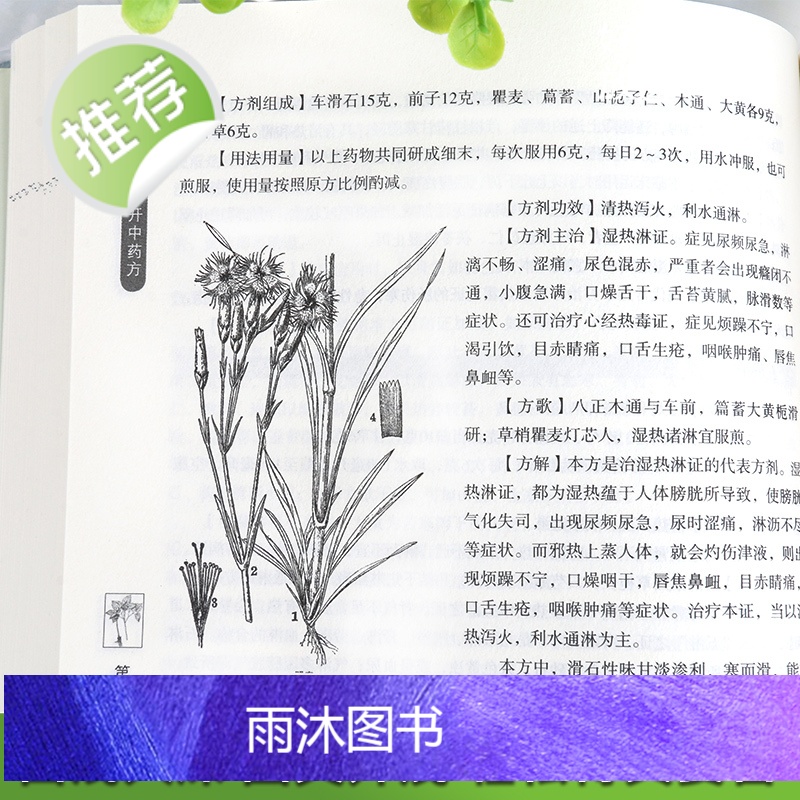 [新华正版]一百天学会开中药方 中医基础理论书籍大全诊断学入门 零基础学学书药方大全图解民间秘方偏方一百天学会开药方高清大图