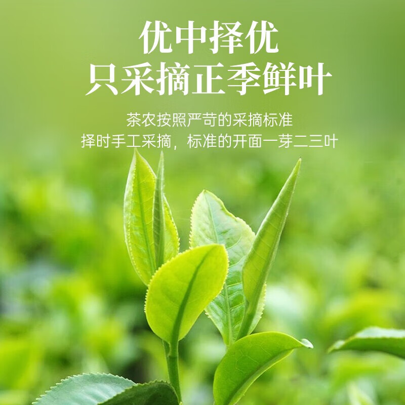 华祥苑 肉桂 武夷山岩茶肉桂大红罐装 250g高清大图
