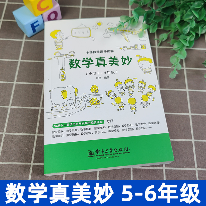 数学真美妙5-6年级 小学通用 [正版]趣味数学 数学真美妙5-6年级 数学课外读物 5-6年级 数学课外书 数学辅导高清大图
