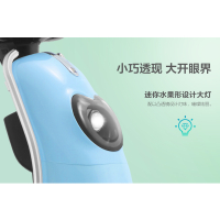 新日(sunra)电动车 龟王系列 小柚果48V20Ah