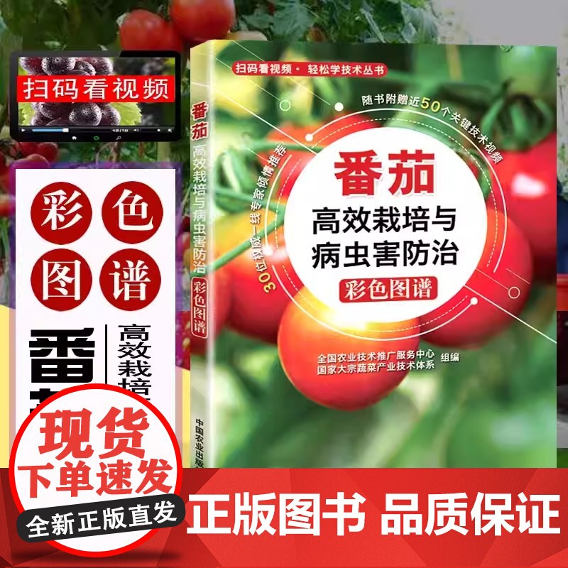 农业书籍番茄高效栽培与病虫害防治彩色图谱高效西红柿栽培病虫害防治种植技术大全书农药知识农作物现代大棚蔬菜作物育种学种植业高清大图